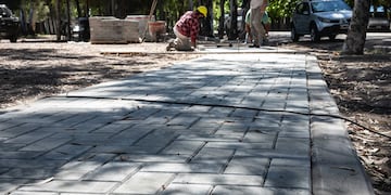 La comuna alvearense construye una ciclovía.