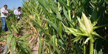 Tandil participó de un encuentro sobre charlas experimentales