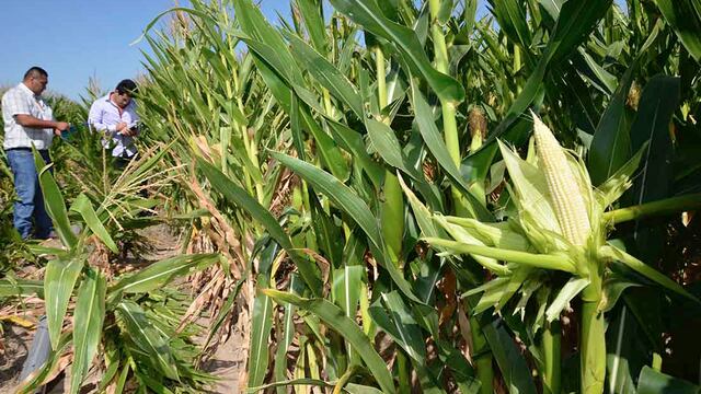 Tandil participó de un encuentro sobre charlas experimentales
