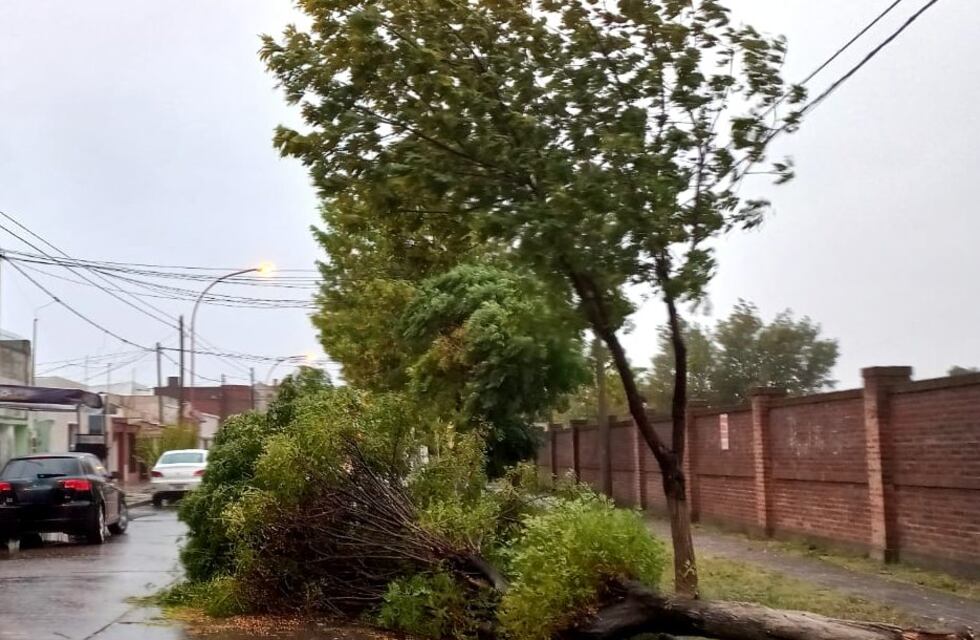 Lo que dejó el temporal: Desarrollo Social asistió a 8 familias con colchones y frazadas