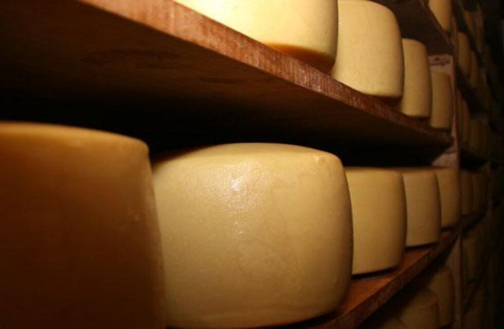 Prohíben la venta nacional de un queso que podría provocar intoxicaciones