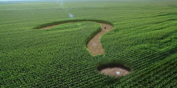 Estamos seguros de que no sabías muchas de estas curiosidades. Foto: Archivo.