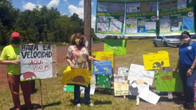 Docentes y alumnos realizaron una campaña contra el atropellamiento de animales silvestres en Wanda