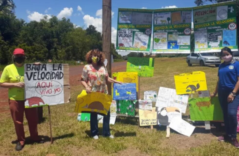 Docentes y alumnos realizaron una campaña contra el atropellamiento de animales silvestres en Wanda