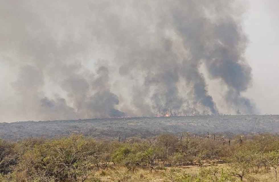 Incendios en Córdoba: siguen activos los fuegos en el Norte y Oeste provincial
