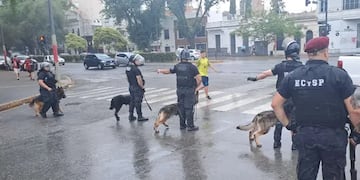 Los perros fueron heridos en las patas