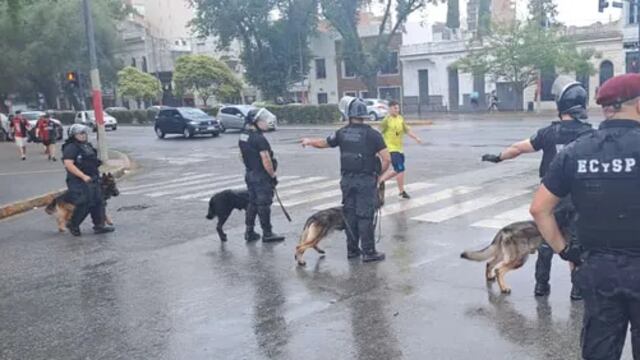 Los perros fueron heridos en las patas