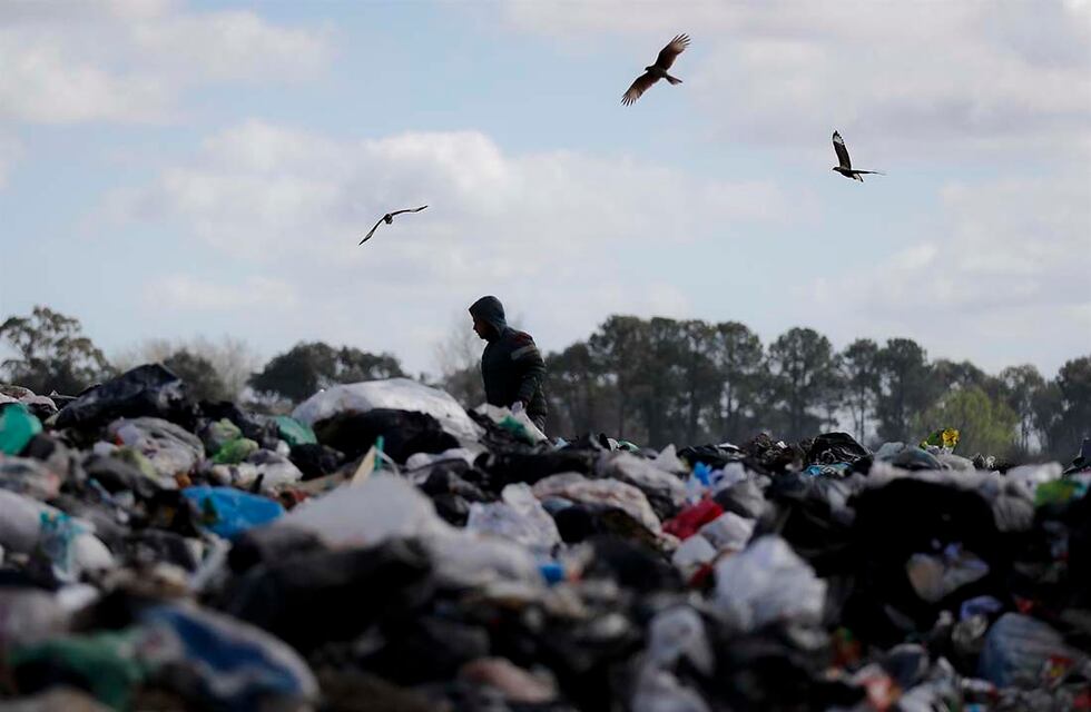 Horror en Corrientes: encontraron una pierna humana en un basural