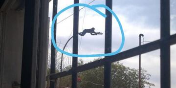 Se trepó a un poste para robar las luces led del alumbrado público.