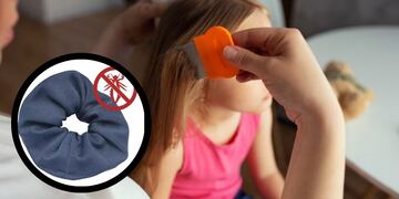 Para la Vuelta a clase: ¿Funcionan las colitas antipiojos?