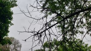 Para este viernes, sin prónóstico de lluvias en Córdoba. Pero para el fin de semana, sí (La Voz archivo).