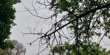 Alerta amarilla en Punta Alta.