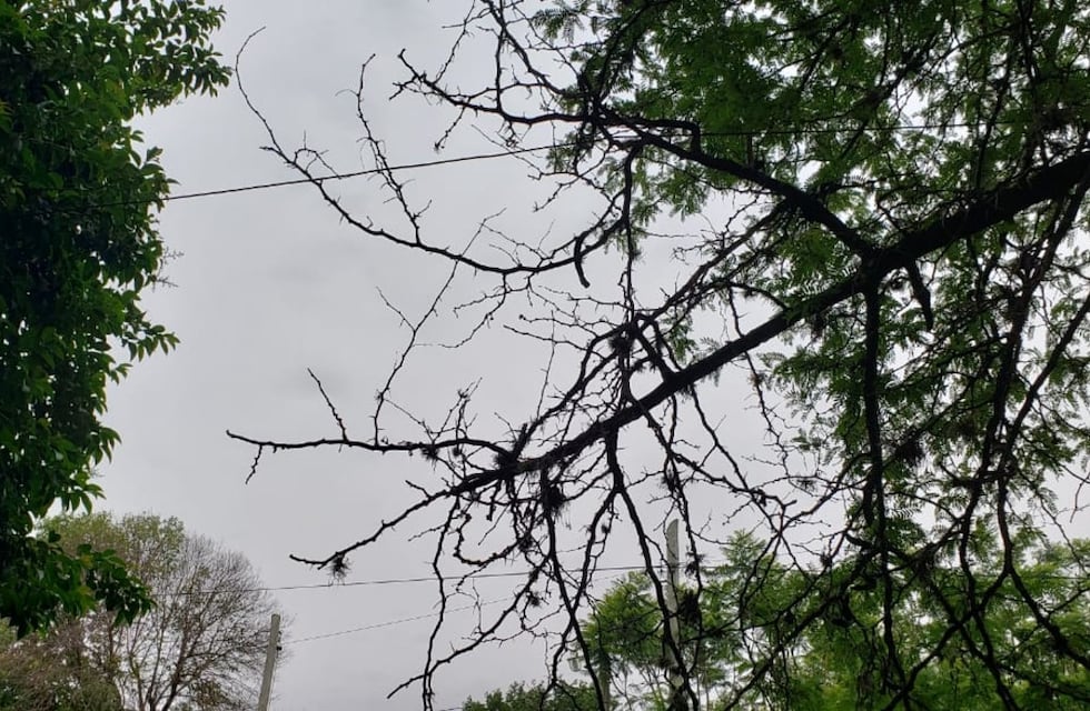 El clima en Córdoba: otro día gris en la antesala del otoño
