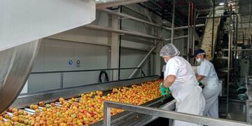 Comenzó a operar la Pulpera en San Rafael.