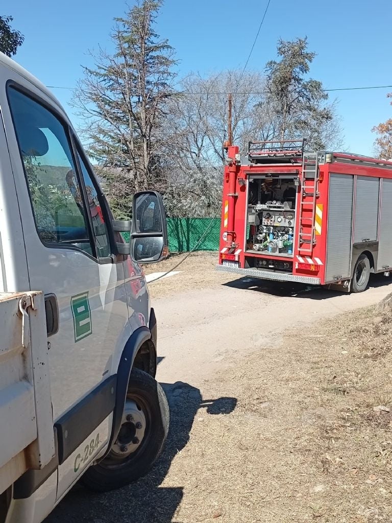 Cable de media tensión provoca incendio de un árbol en Mayu Sumaj