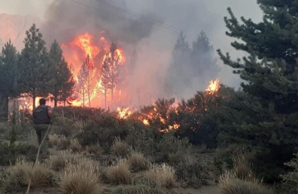El incendio que ya arrasó con unas 10.000 hectáreas en Río Negro se habría iniciado en una vivienda particular