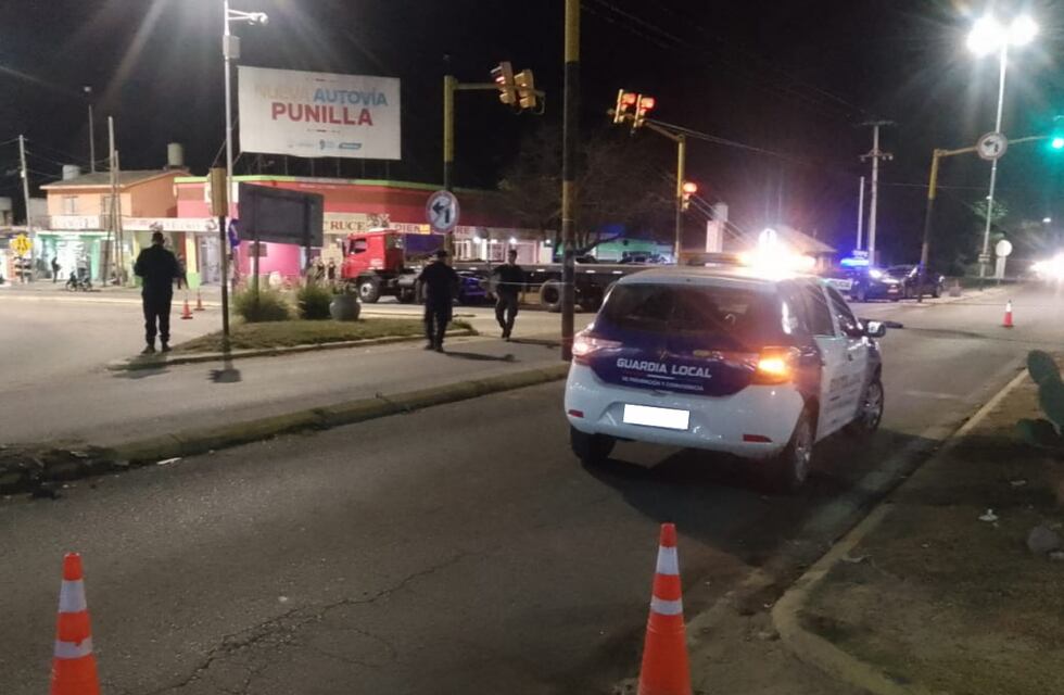 Desgarradora imagen en Córdoba: murió atropellado y sus perros se quedaron a su lado