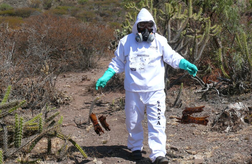 Sistema de alerta del SENASA