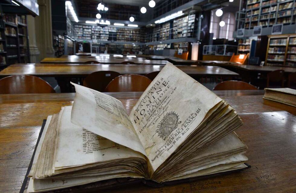 Día Mundial de la Filosofía: por qué se celebra un 18 de noviembre y cuál es el objetivo de su conmemoración