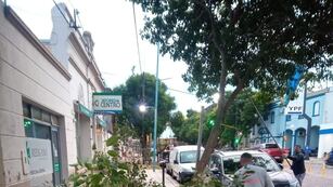 Trabajos de poda de brotes y limpieza de cazuelas en Avenida Santa Fe