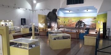 Museo Municipal de Ciencias Naturales Darwin de Coronel Rosales