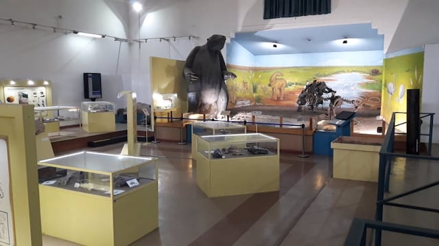 Museo Municipal de Ciencias Naturales Darwin de Coronel Rosales