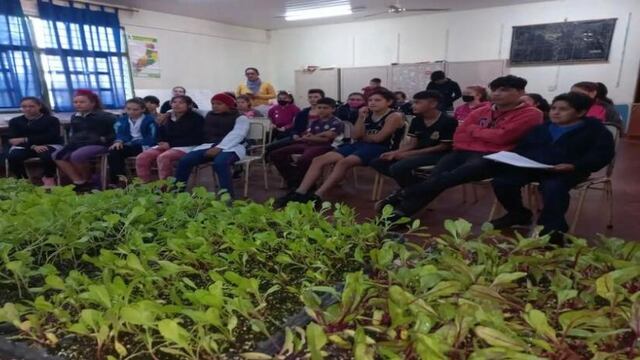 El Programa Cultivar Eldorado realizó una capacitación.