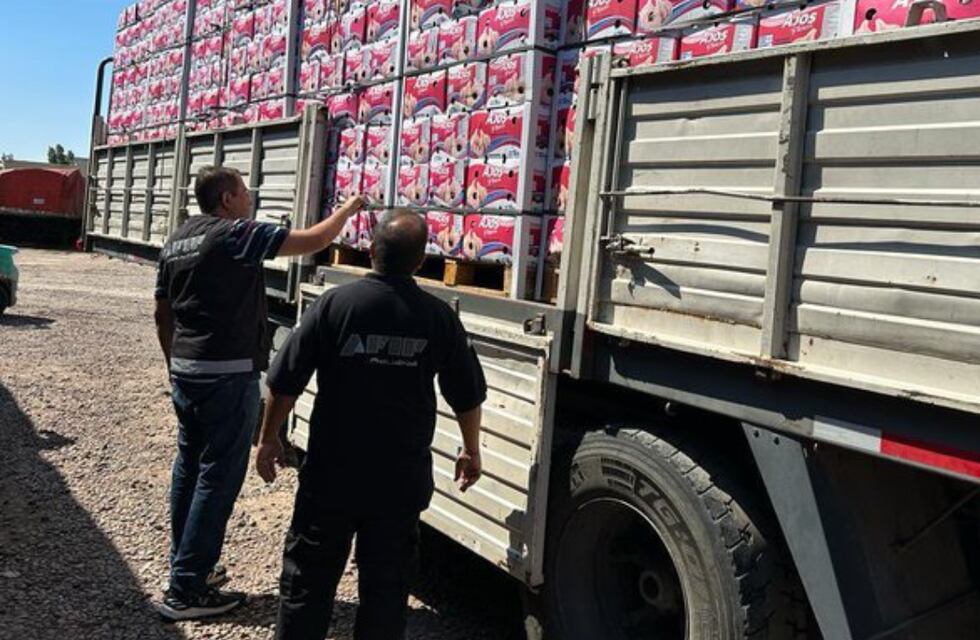 Tras el aval de la Justicia, Aduana suspendió a 59 empresas exportadoras por no liquidar divisas