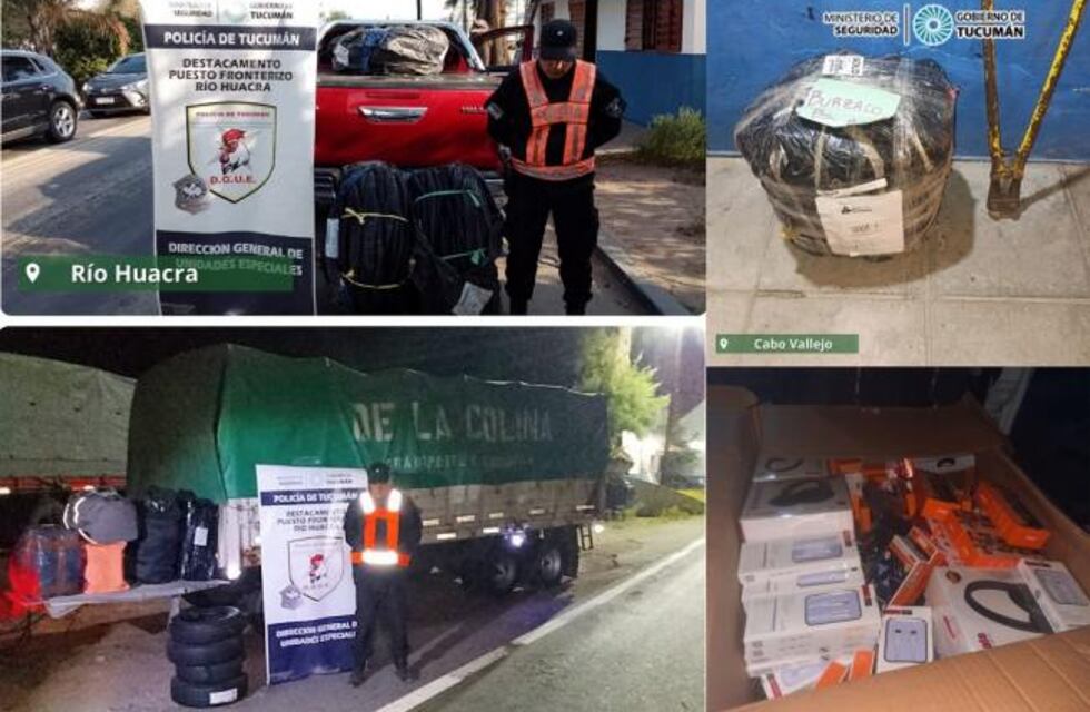 Operativo Lapacho: se realizaron decomisos en distintos puntos de la provincia