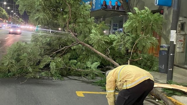 El trabajo de Defensa Civil en medio de la fuerte tormenta (Municipalidad de Córdoba).