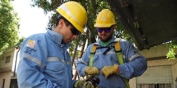 Los operarios inician su tarea a primera hora de la jornada.