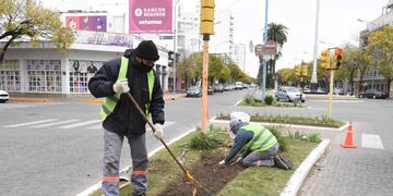El municipio suma verde a los espacios de la ciudad