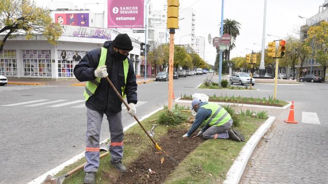 El municipio suma verde a los espacios de la ciudad
