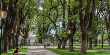 Funcionará del miércoles 11 al sábado 14 de agosto.