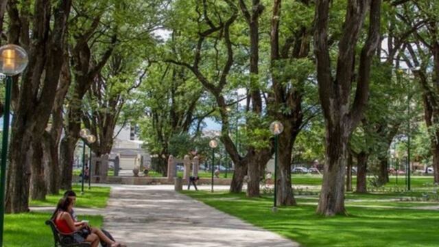 Funcionará del miércoles 11 al sábado 14 de agosto.