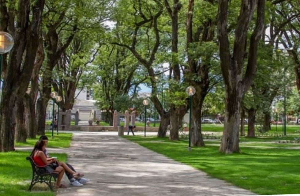 Durante tres días funcionará un vacunatorio en el parque San Martín