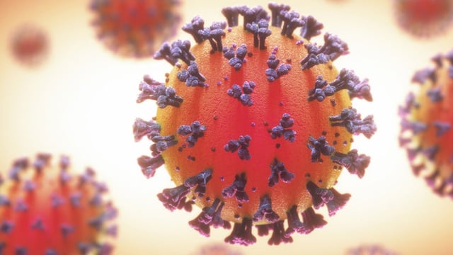 Coronavirus: el Malbrán confirmó que encontraron en Argentina una cepa con la variante de Río de Janeiro. (Imagen ilustrativa)