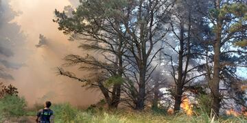 El grado de propagación de un incendio para las próximas jornadas es “Extremo”.