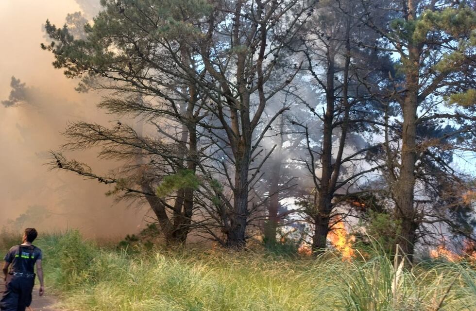 Solicitan extremar medidas para evitar incendios forestales