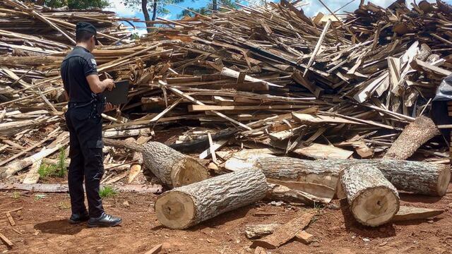 San Vicente: secuestran apeo ilegal de madera nativa.
