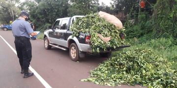 Oberá: detuvieron a dos hombres por el robo de 400 kilogramos de yerba
