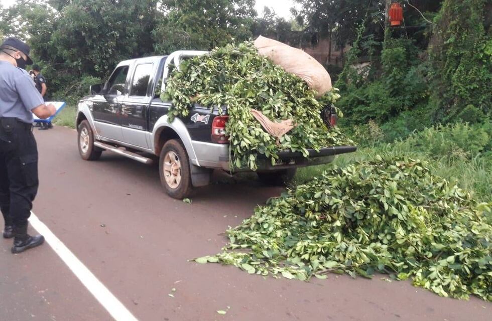 Oberá: detuvieron a dos hombres por el robo de 400 kilogramos de yerba
