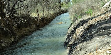 Imagen Ilustrativa. Archivo