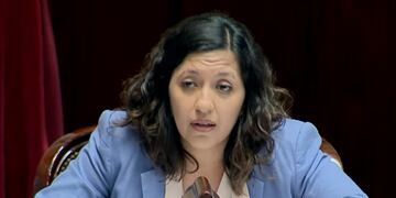 La diputada nacional por Jujuy Leila Chaher durante su alocución en la tercera jornada de la sesión extraordinaria para el tratamiento del proyecto de Ley de Bases y Puntos de Partida para la Libertad de los Argentinos.
