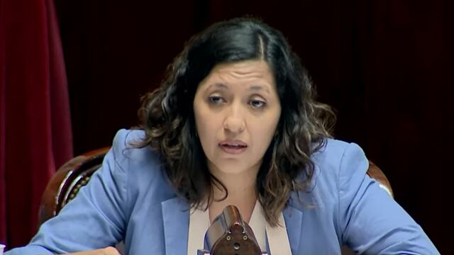 La diputada nacional por Jujuy Leila Chaher durante su alocución en la tercera jornada de la sesión extraordinaria para el tratamiento del proyecto de Ley de Bases y Puntos de Partida para la Libertad de los Argentinos.