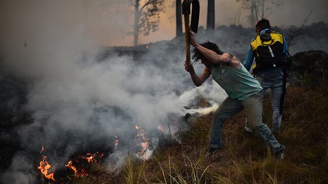 Incendios forestales en Potrero de Garay Foto: Pedro Castillo