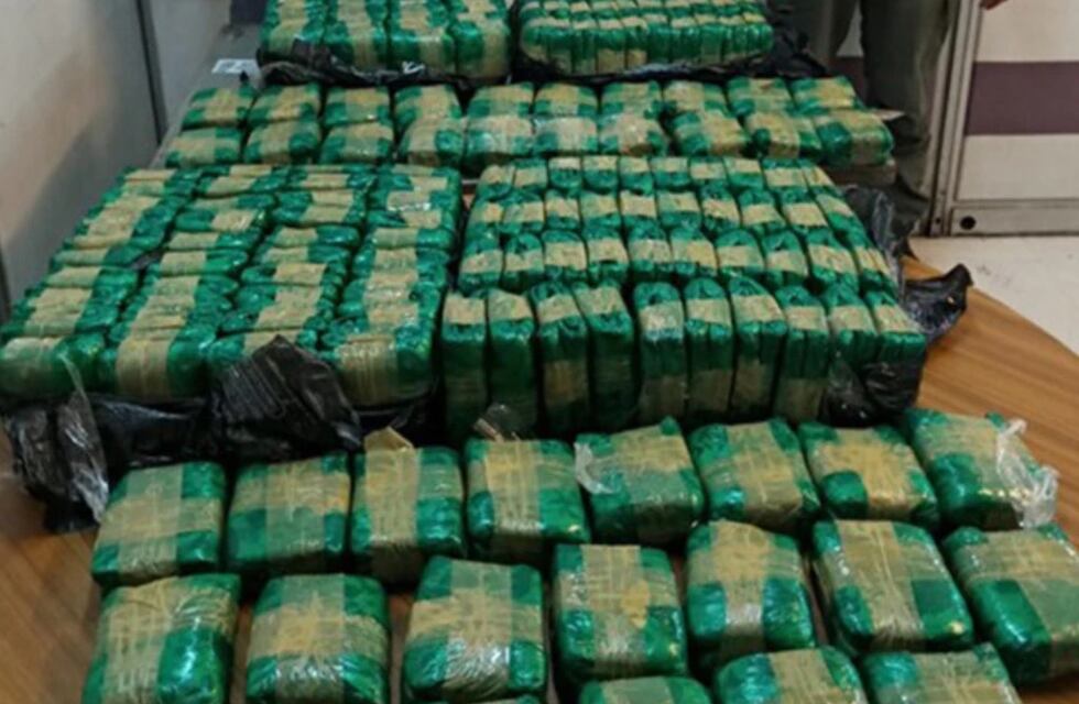 Decomisaron 50 kilos de hojas de coca en encomiendas que llegaron a Mendoza