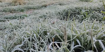 Alerta por vientos fuertes y bajas temperaturas en Azul