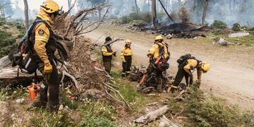 Tierra del Fuego: situación del incendio de la Reserva Provincial