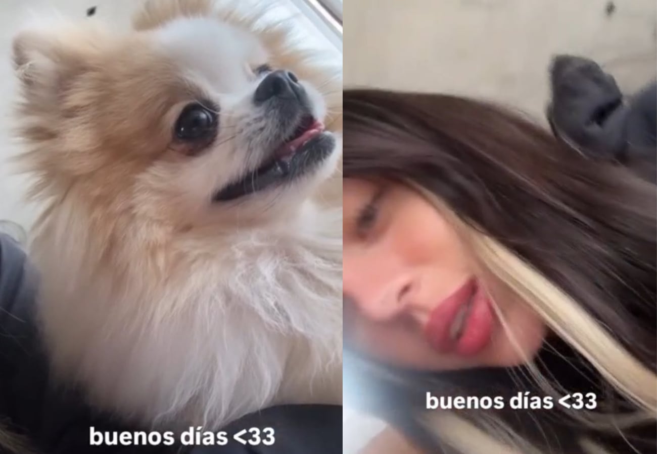 Nicki Nicole compartió una historia con su perro